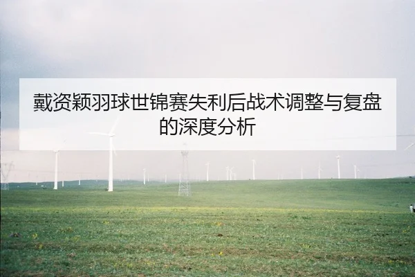 戴资颖羽球世锦赛失利后战术调整与复盘的深度分析