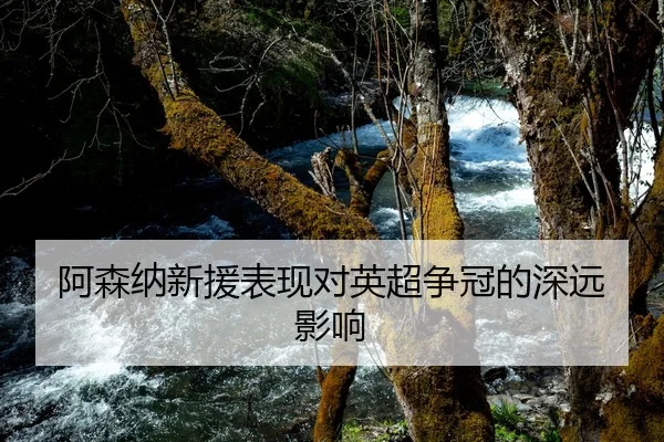 阿森纳新援表现对英超争冠的深远影响